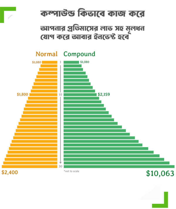 compound islamic profit